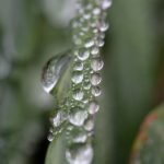 21选开奖结果今日最新公布查询 0t4axacz