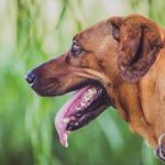 ESPN体育赛事高清在线直播观看指南 1p0p6