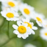 2201com开奖结果查询与最新中奖号码公布 35lip