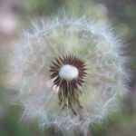 003期开奖记录公布,最新中奖号码揭晓 6i3p92j5