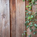 elta体育直播:精彩赛事尽在elta体育直播平台 cp891k7