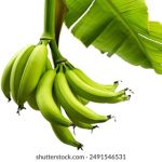 21号体彩开奖号码揭晓,最新结果速看! dc9of9uyk2