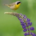 011期开奖结果公布,幸运号码震撼揭晓! g3a8yu