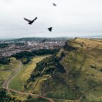 0118现场开奖震撼揭晓:幸运号码即将公布 jculfs