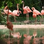 005开奖前与开奖后的关键细节全解析 oh8fuadv