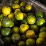 002期开奖记录完整公布,最新中奖号码揭晓 vs9unjm8